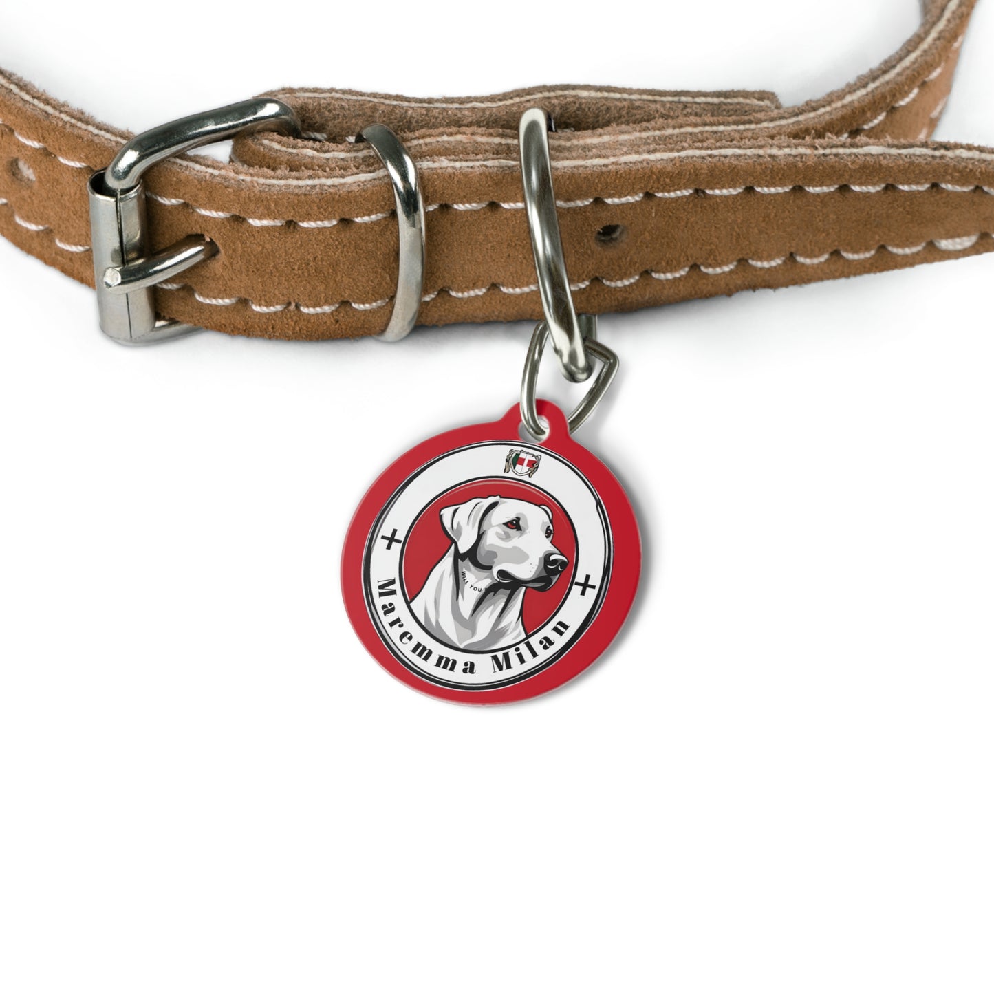 Dog ID Tag