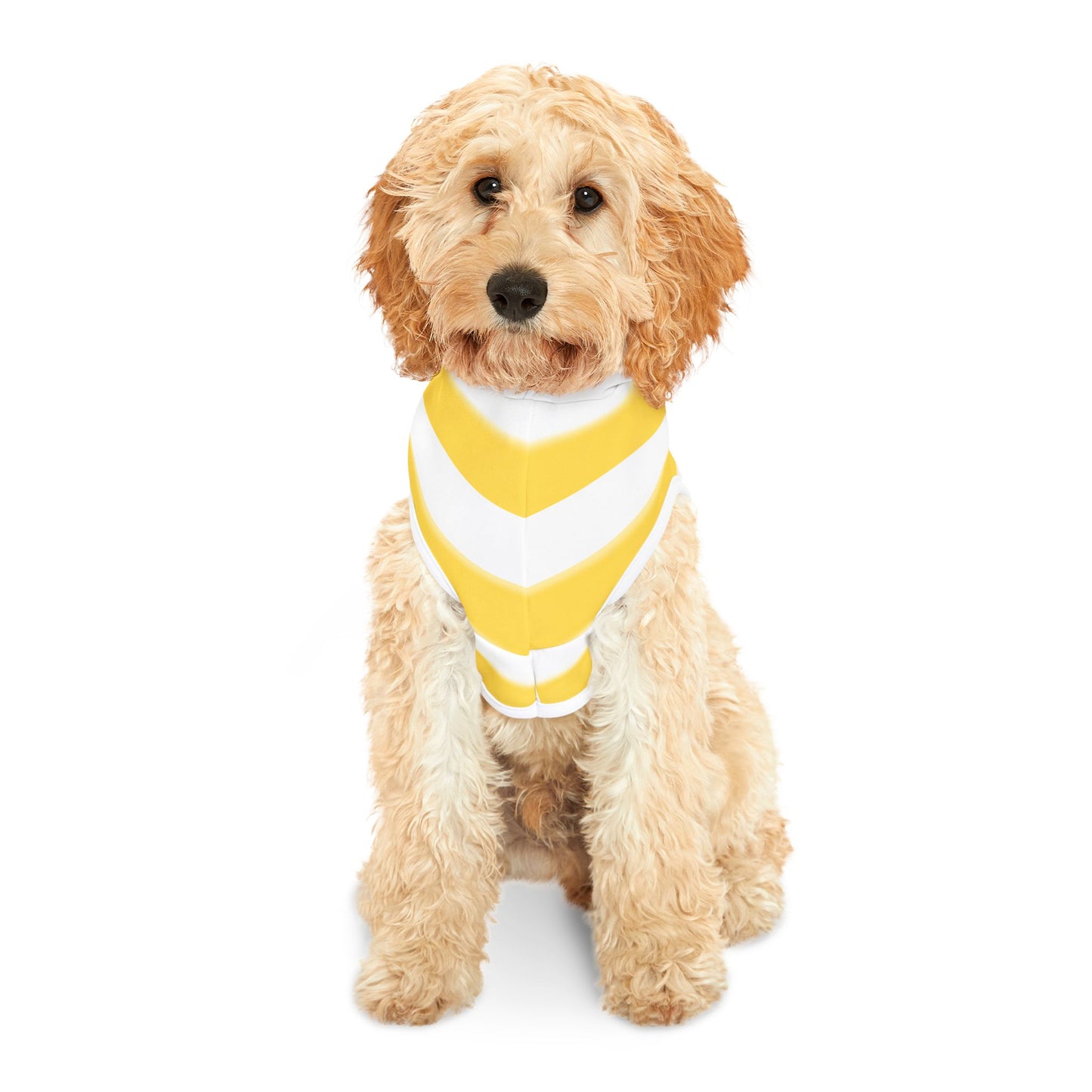 Dog Hoodie "Portofino Maremma Stripes"