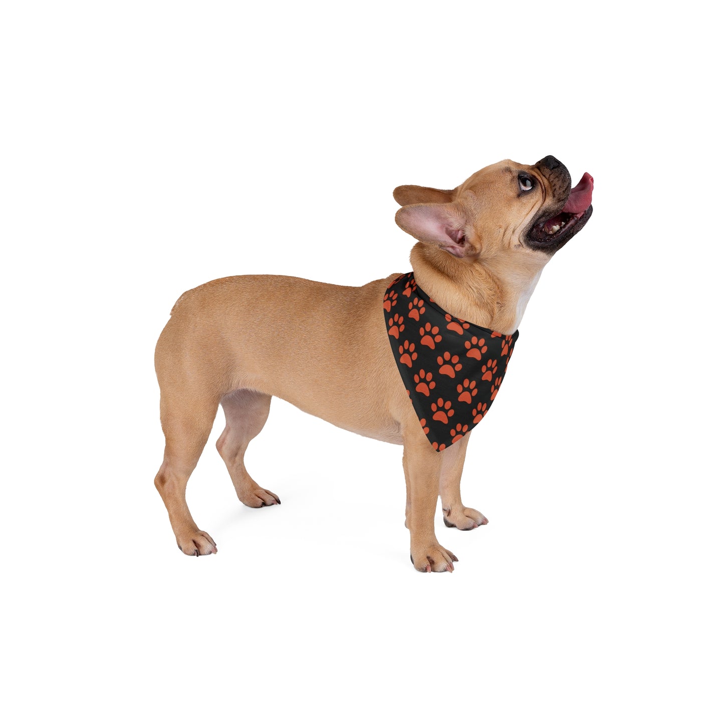 Dog Bandana