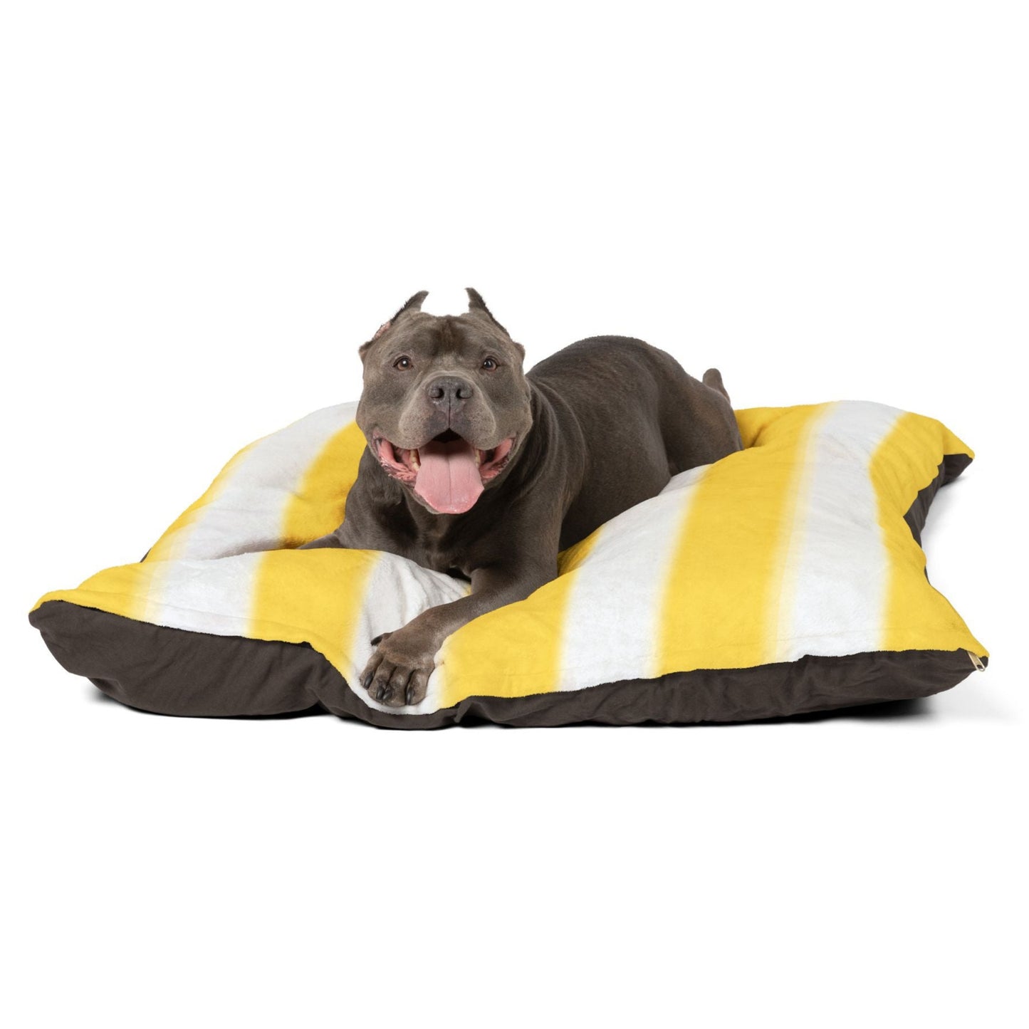 Dog Bed Cotton Underside Shape Retaining Insert