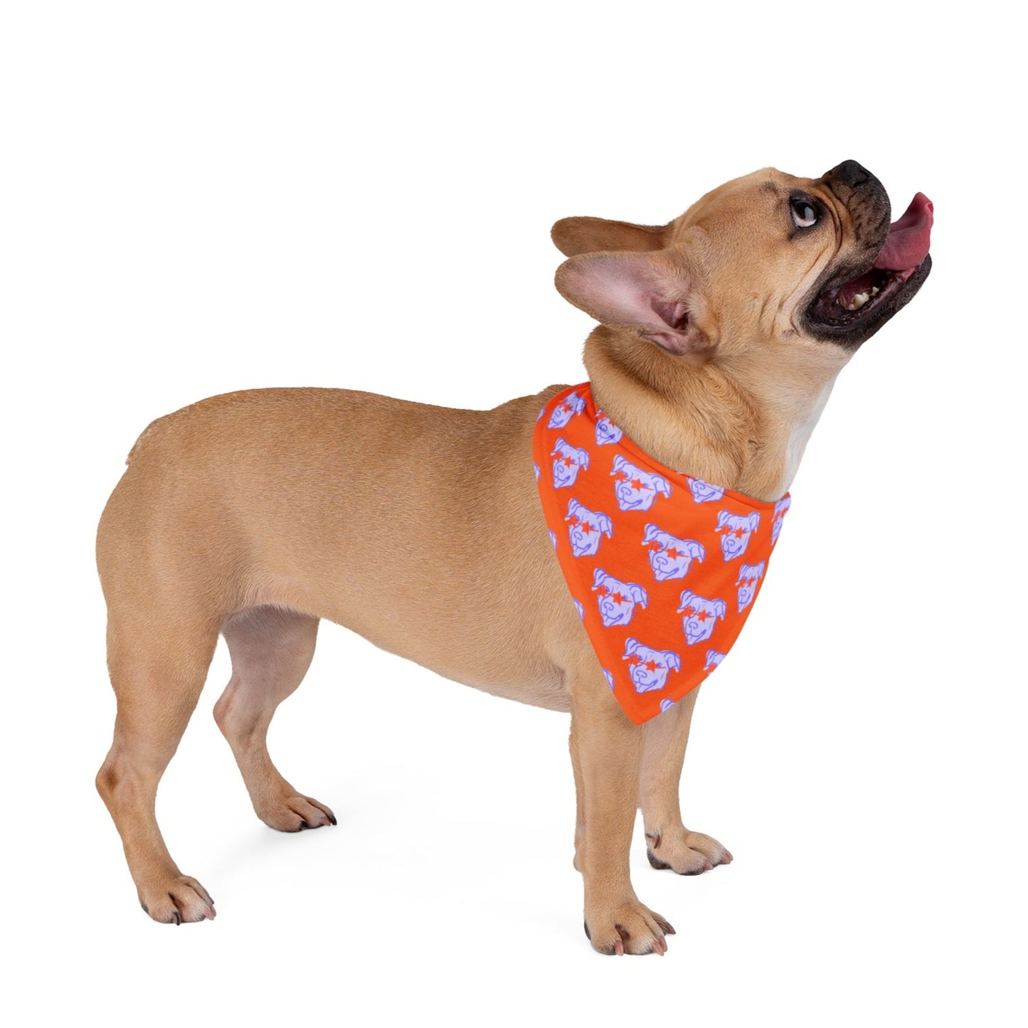 Dog and Owner Bandana "Starry-Eyed Dog"