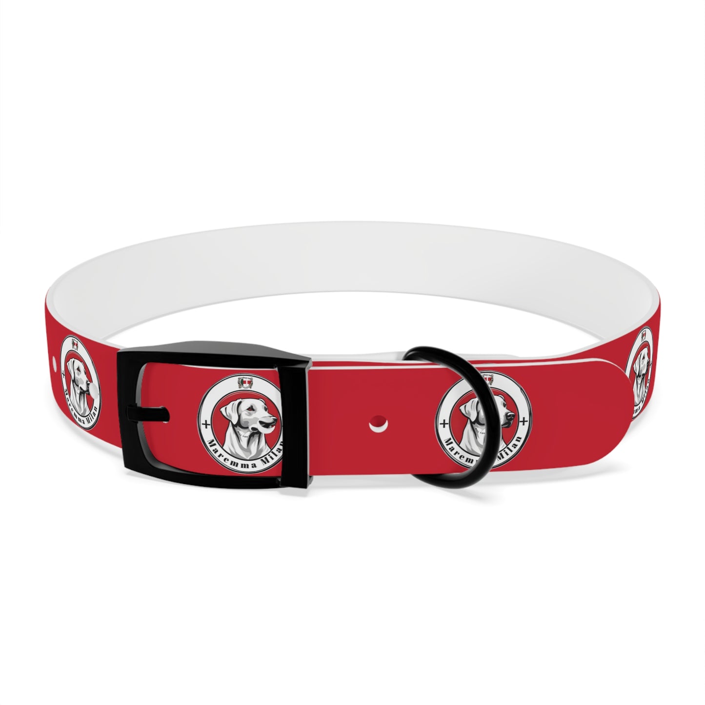 Dog Collar