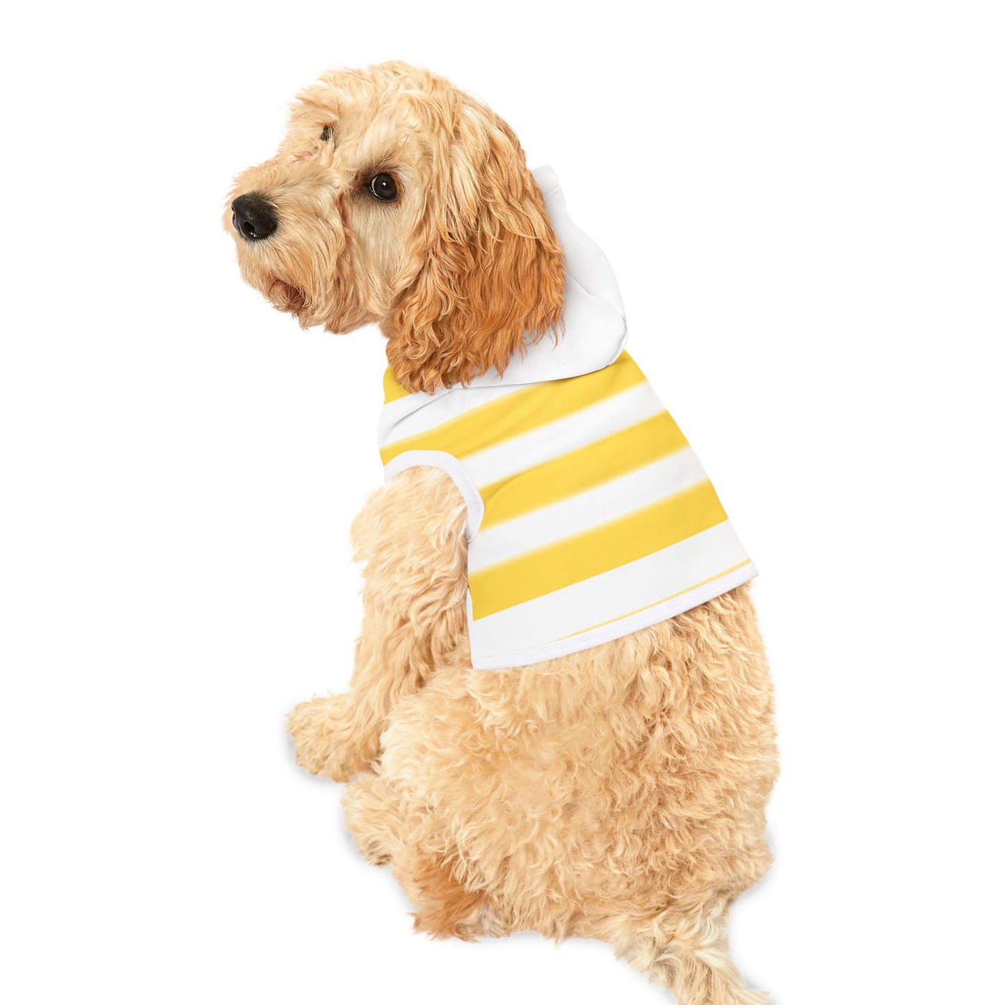 Dog Hoodie "Portofino Maremma Stripes"