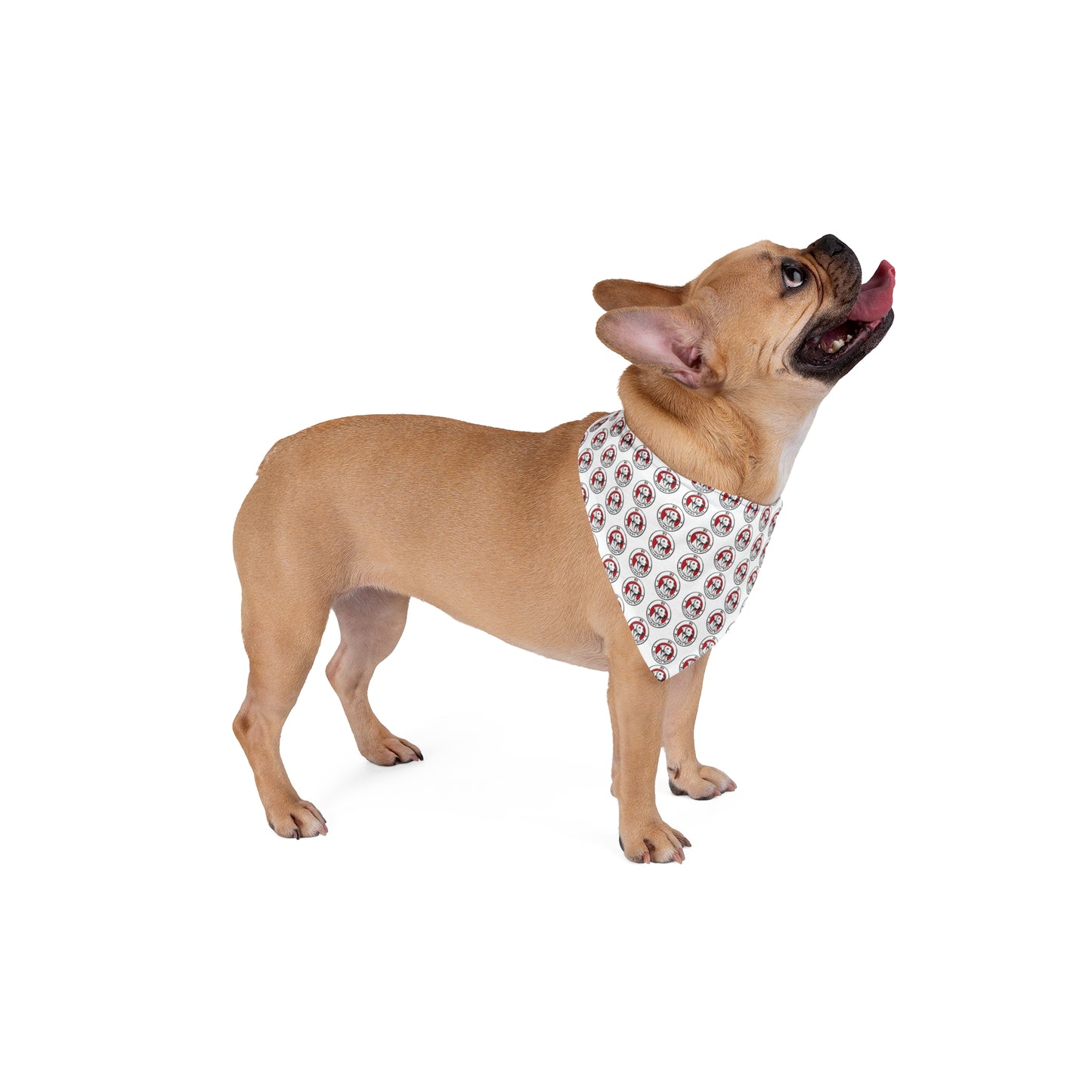 Dog and Parent Bandana