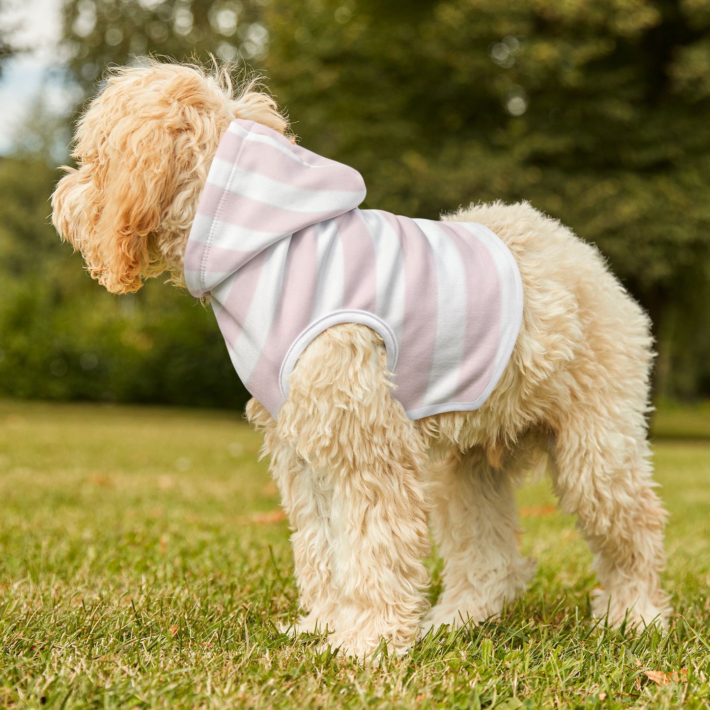 Dog Hoodie